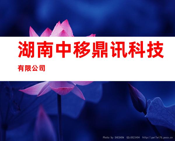 湖南中移鼎讯科技有限公司